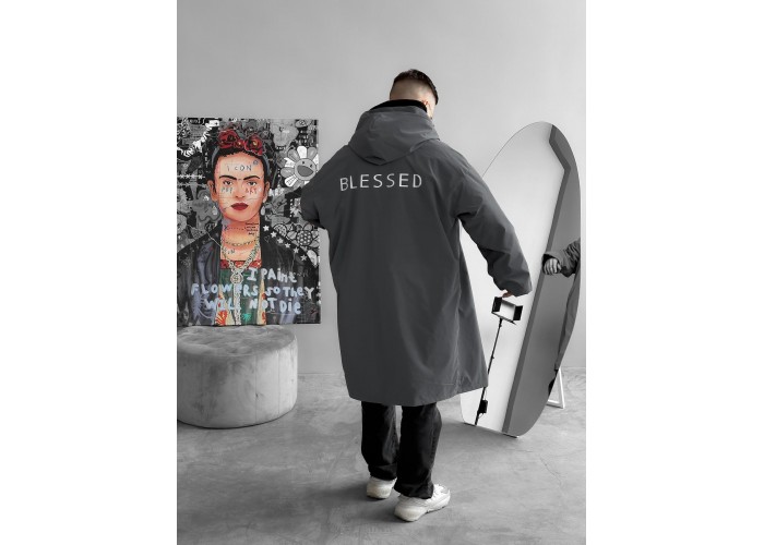 Дощовик графіт (blessed)